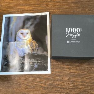 NEW Puzzle - Beautiful White Owl, 1000 pieces
